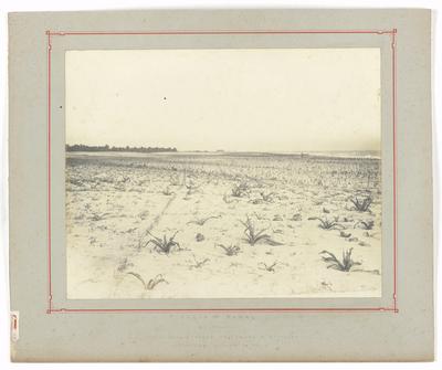 Local de estudo para construção do porto de Fortaleza