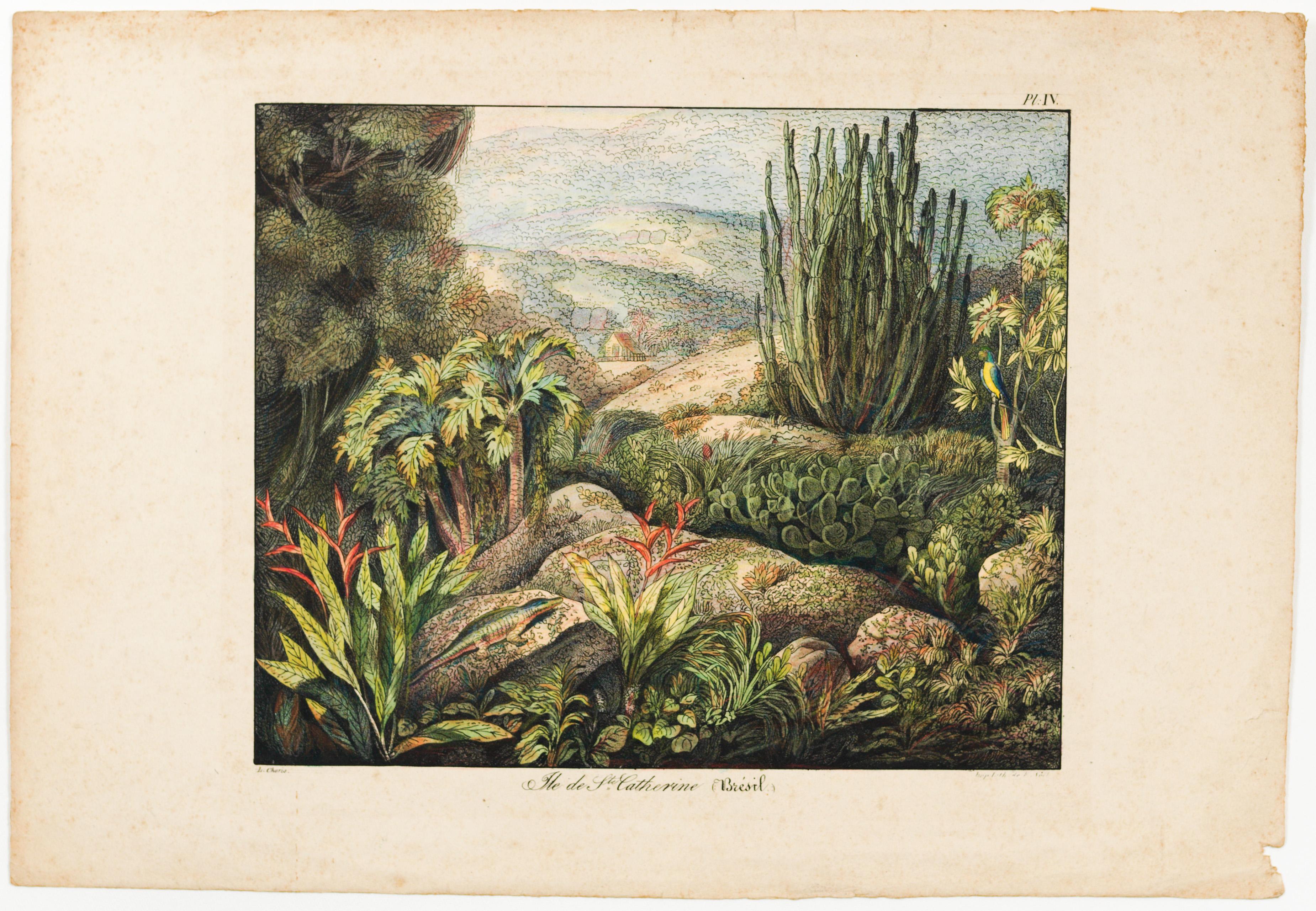 Ile de Ste. Catherine (Brésil.)