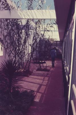 Instituto Central de Artes (ICA)