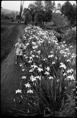 Jardim da Chácara Arara