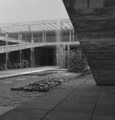 Museu de Arte Moderna - MAM