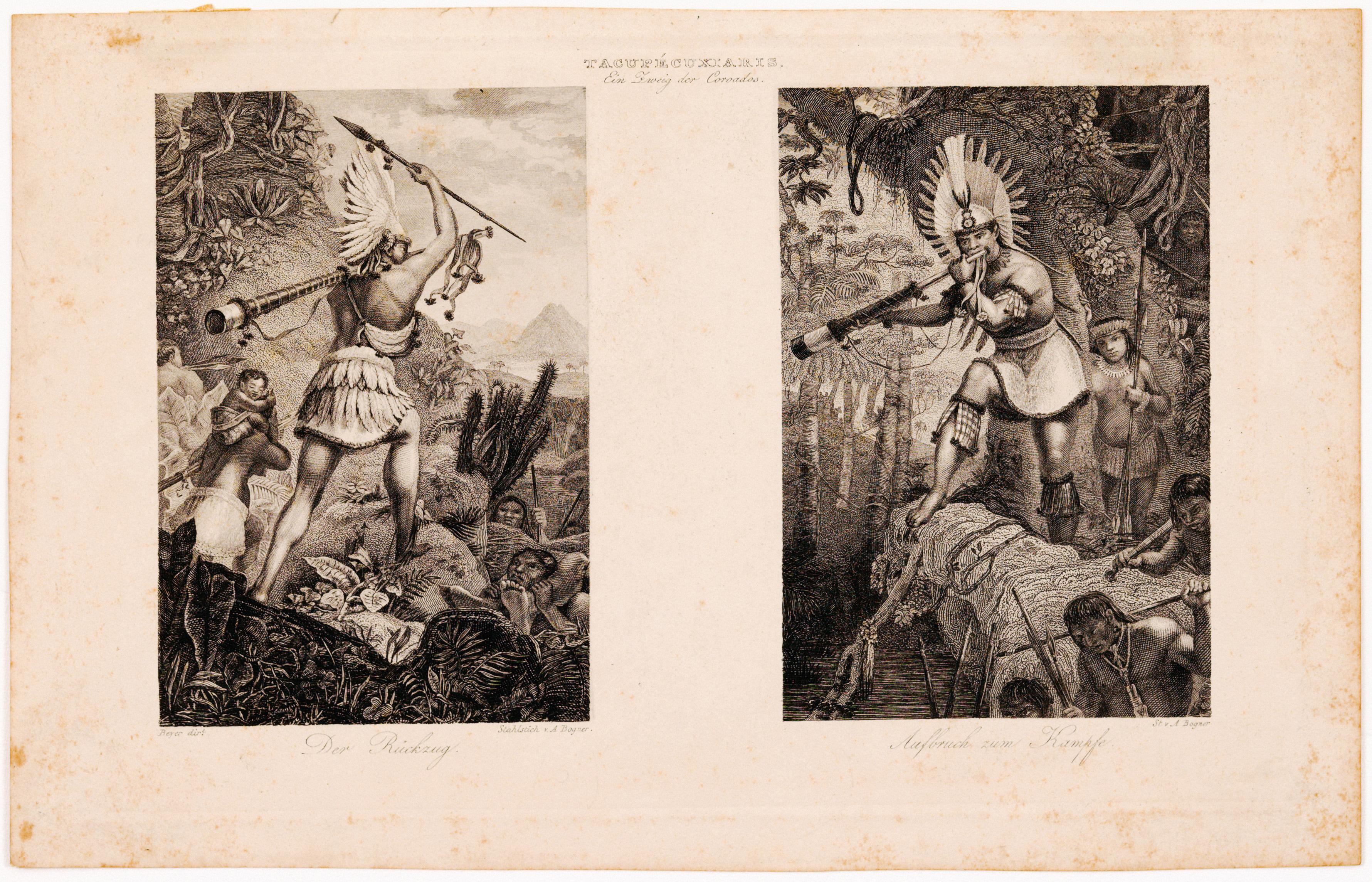 Tacupécuxiaris. Ein Zweig der Coroados