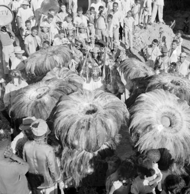 Bumba meu boi, festa popular