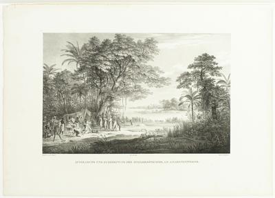 (Escavação e preparo dos ovos de tartaruga no Rio Amazonas)