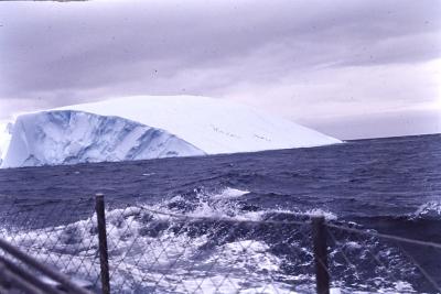Aventuras de Igor na Antártida