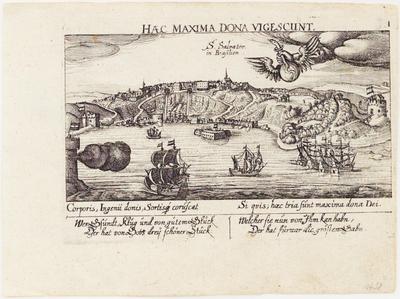 S. Salvator. in Brasilien