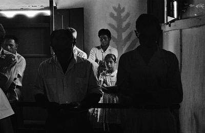 Família de Picinguaba #07