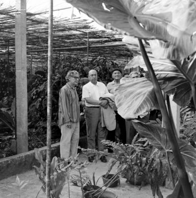 Burle Marx (camisa listrada) e Pablo Neruda, no Sítio Burle Marx, na ocasião da visita de Pablo Neruda
