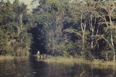 Expedição Pico da Neblina