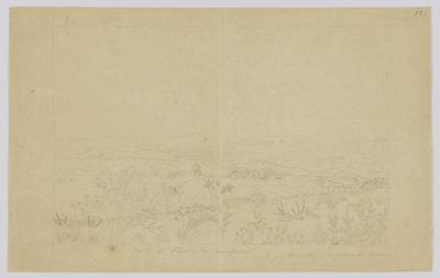 Vue de la fazenda de Camapuam