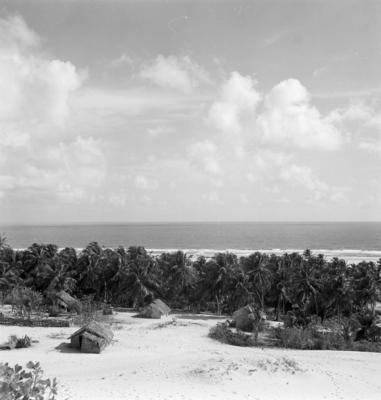 Jangadas e jangadeiros