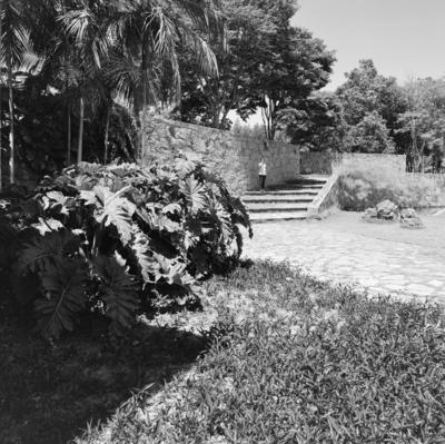 Residência de Olivo Gomes, projeto dos arquitetos Rino Levi, Roberto Cerqueira César e Burle Marx