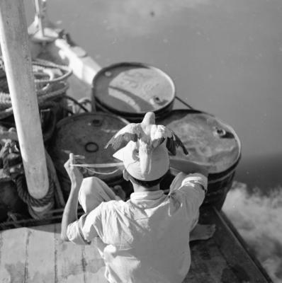 Embarcação na Ilha do Bananal