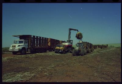Produção de filme institucional sobre usinas de açúcar