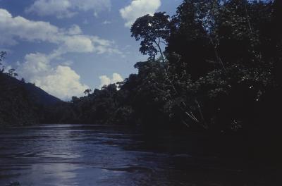 Expedição Pico da Neblina