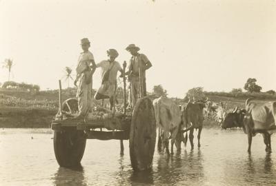 Proximidades do Engenho Itapuá