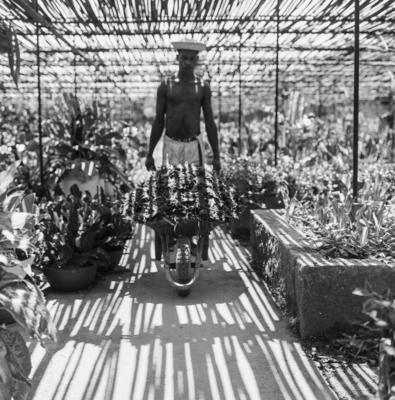 Funcionário do Sítio Burle Marx