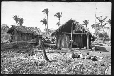 Filmagens de "Iracema: uma transa amazônica", com direção de Jorge Bodanzky e Orlando Senna