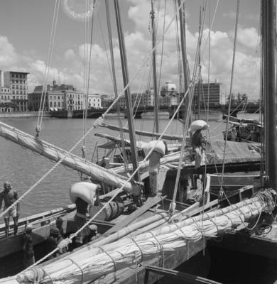 Estivadores, ao fundo a cúpula da Assembléia Legislativa de Pernambuco