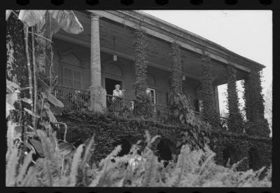 Em busca de fazendas para locacações do filme Os Herdeiros, de Cacá Diegues