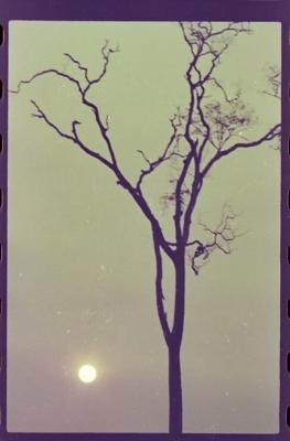 Filmagens de "Iracema: uma transa amazônica", com direção de Jorge Bodanzky e Orlando Senna