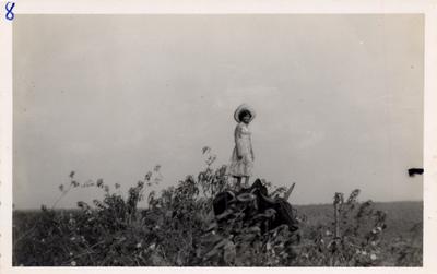 Fotografia; autor: Não identificado