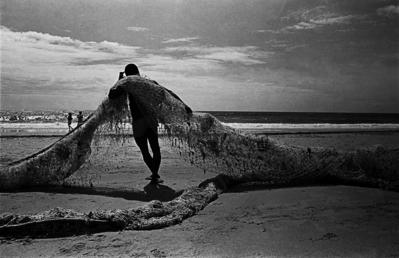 Série Pesca do xaréu