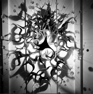 "Revoada dos pássaros", lustre de Pedro Correia de Araújo, na Sala D. Pedro I