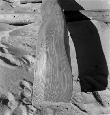 Jangadas e jangadeiros