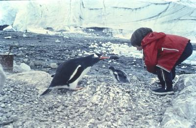 Igor Belli com pinguins