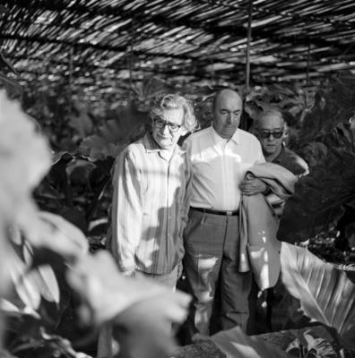 Burle Marx, Pablo Neruda e Vinicius de Morais, no Sítio Burle Marx, na ocasião da visita de Pablo Neruda