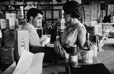 Família Paulista #07