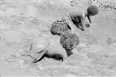 Série Caranguejeiras - Catadores de caranguejo