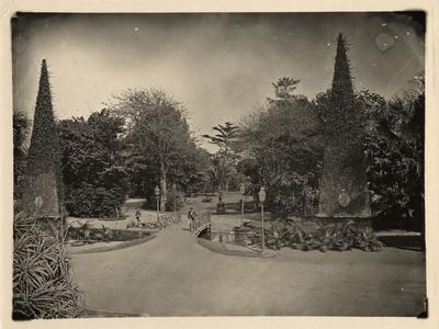 O Passeio Público do Rio de Janeiro