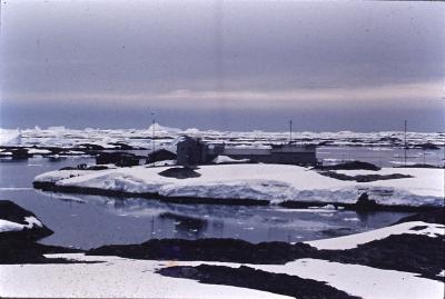 Aventuras de Igor na Antártida