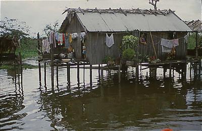 Série Amazonas - Palafita
