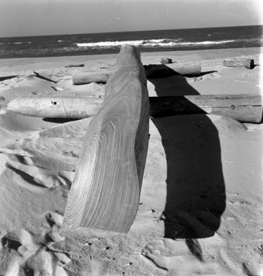 Jangadas e jangadeiros