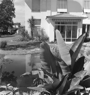 Paisagismo de Burle Marx em residência de Minas Gerais