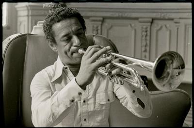 Formiga com o trompete