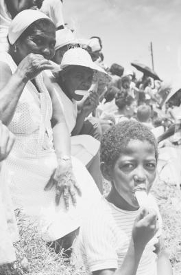Festa ao Senhor Bom Jesus dos Navegantes