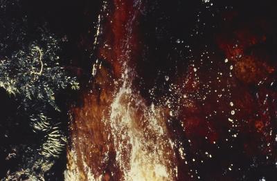 Expedição Pico da Neblina