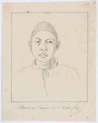 Natural do Paraná, criado em Porto-Feliz