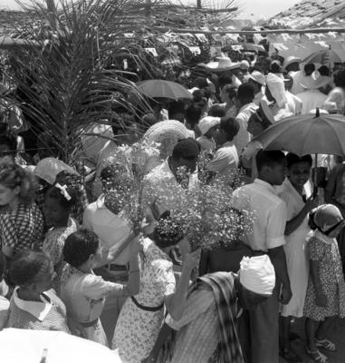 Festa de Iemanjá em Rio Vermelho