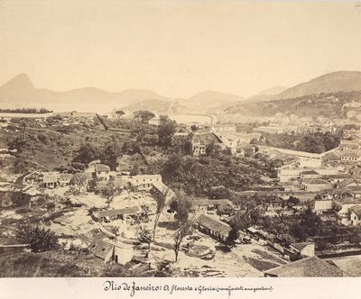 A Floresta e a Glória (do Castelo)