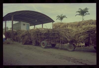 Produção de filme institucional sobre usinas de açúcar