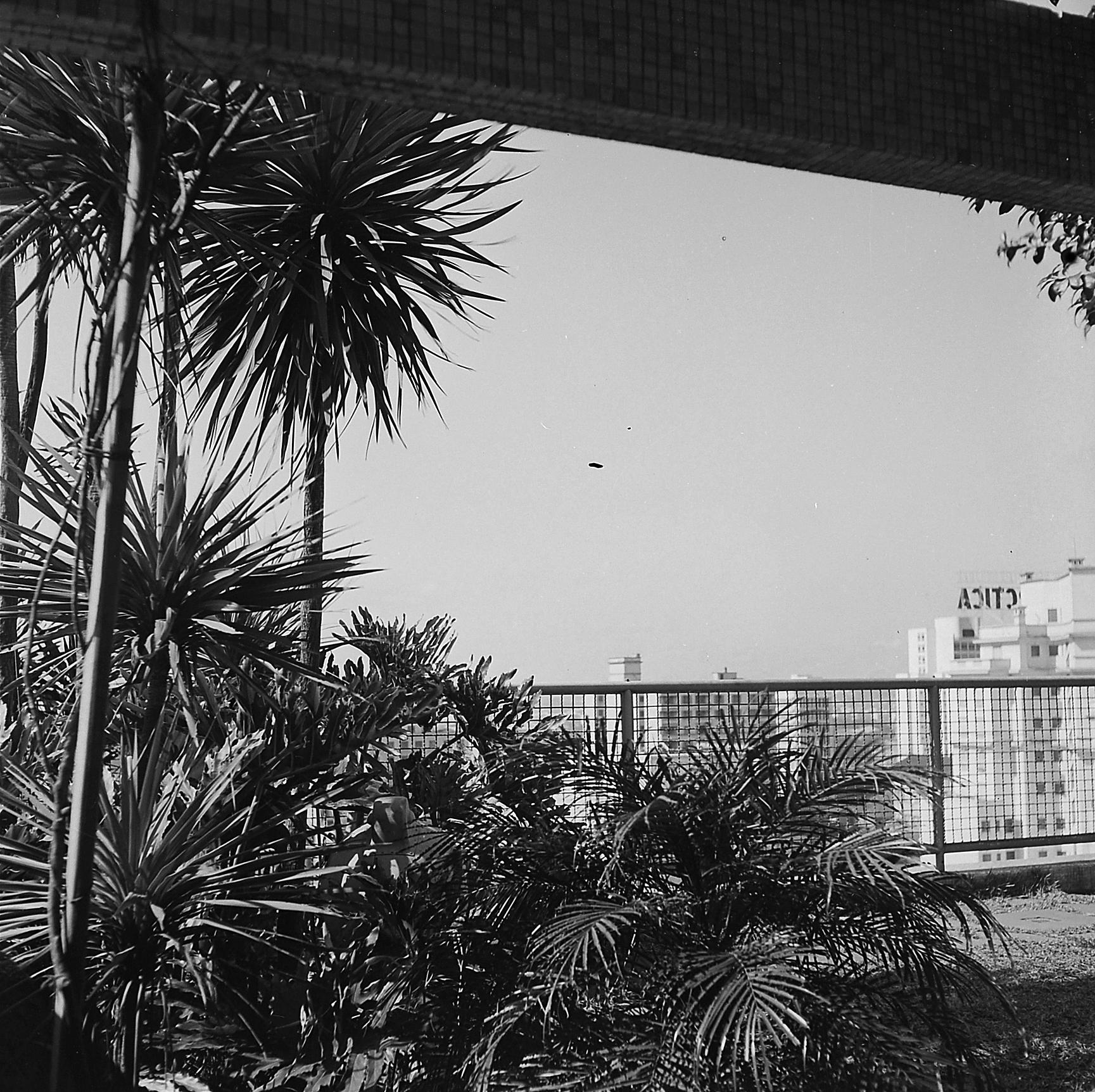 Jardim de Inverno Fasano