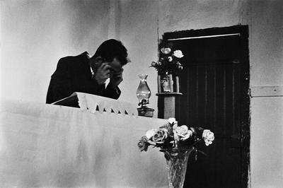 Família de Picinguaba #08