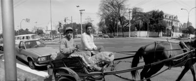 Palácio dos Campos Elísios