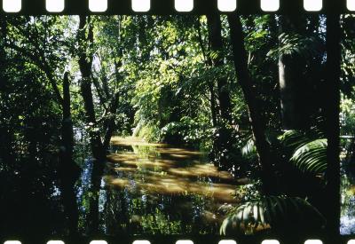 Projeto "Navegar Amazônia"