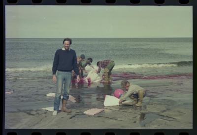 Viagem com a bióloga Livia Monami para registrar a caça da baleia branca